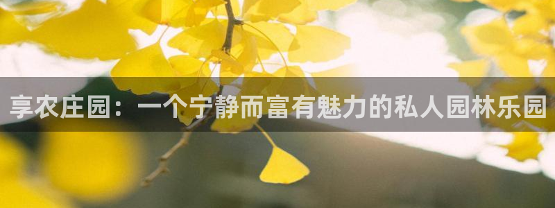 天辰天富娱乐登录