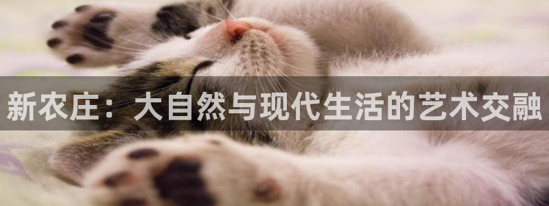 天辰娱乐 . 鱼刺