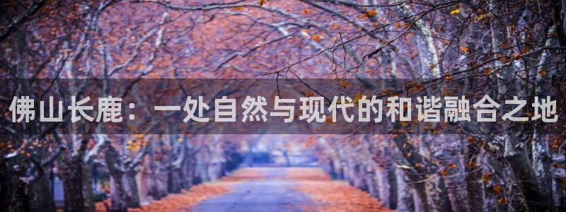 天辰娱乐平台娱乐注册