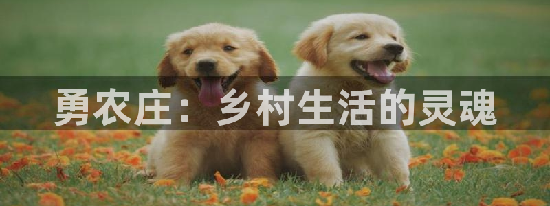 天辰娱乐平台安全吗