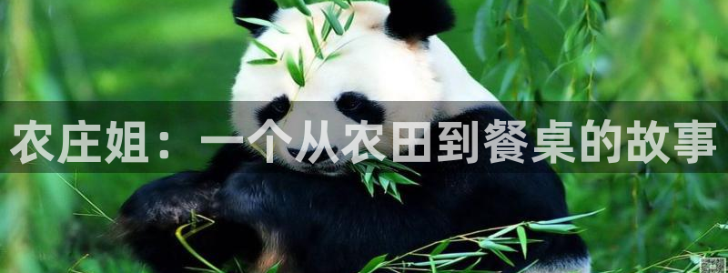 天辰娱乐娱乐注册