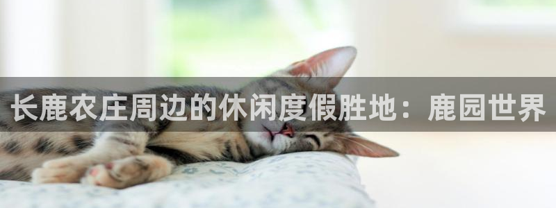 天辰娱乐官网平台下载