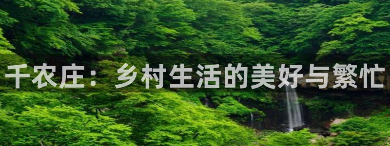 天辰娱乐的网址首页