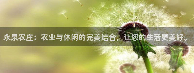 桂林天辰娱乐