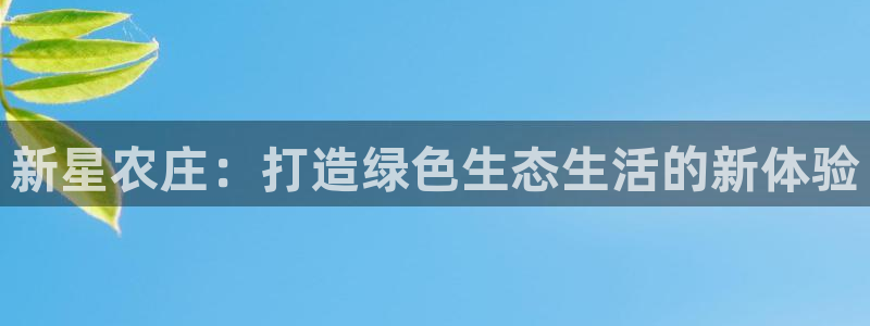 天辰娱乐代理