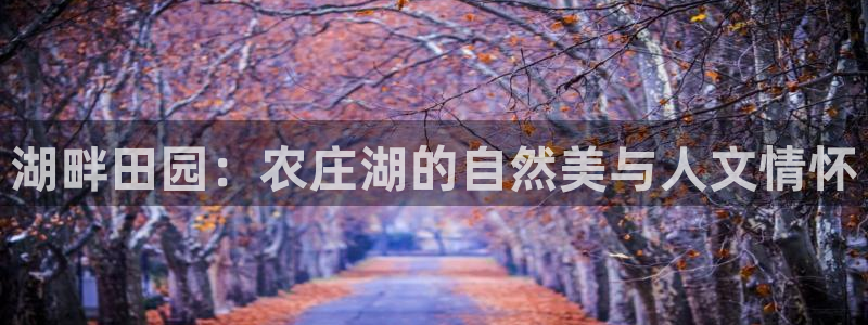天辰a娱乐