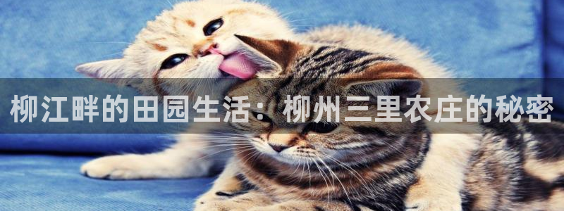 天辰娱乐官方登录入口