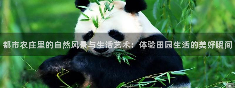 天辰娱乐会所