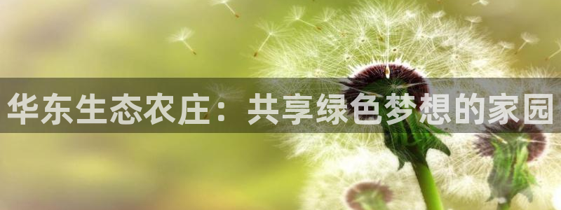 天辰娱乐61116