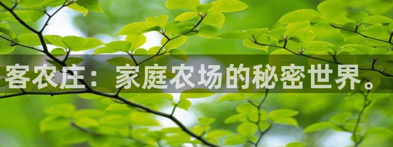 天辰国际娱乐