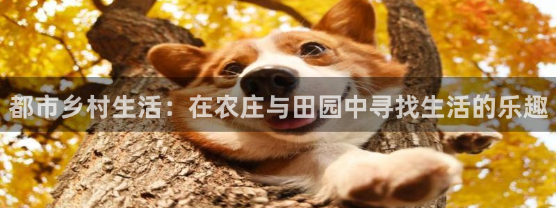 天辰娱乐官网平台入口