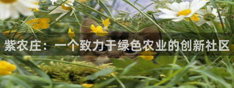 天辰娱乐网址娱乐游戏