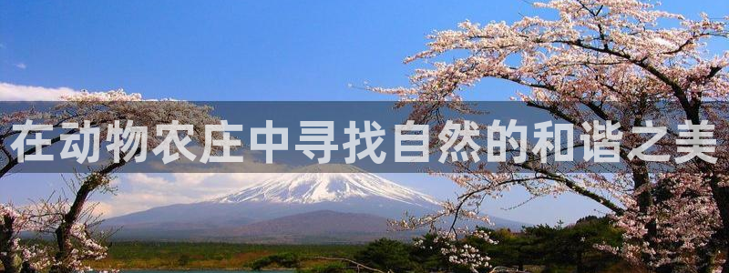 天辰 娱乐 注册