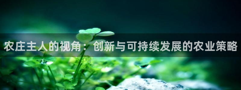 天辰娱乐官网平台入口