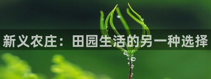 天辰娱乐游戏平台怎么样