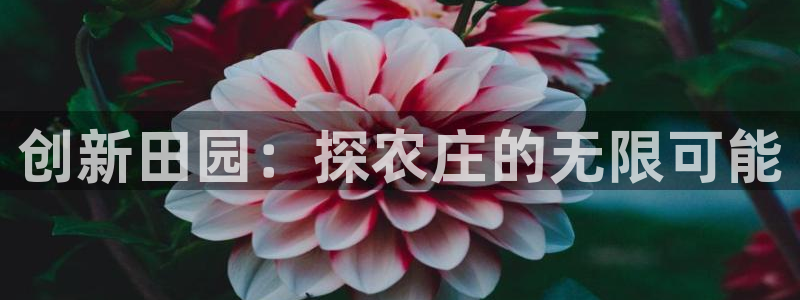 天辰娱乐39596