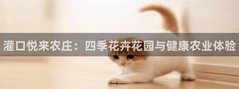 天辰娱乐连接