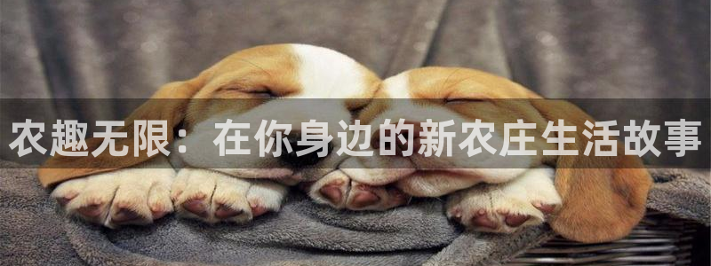 天辰娱乐 主管