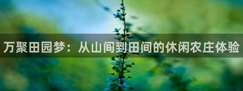 天辰娱乐台湾