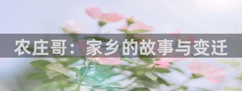 天辰娱乐tff