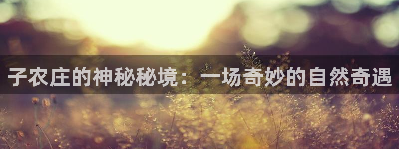 手机上怎么下载天辰娱乐