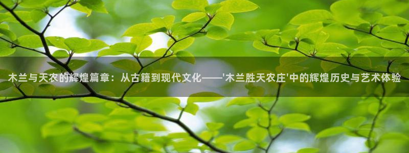 天辰娱乐登陆平台