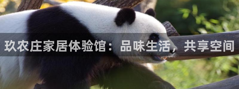 天辰娱乐官网平台入口
