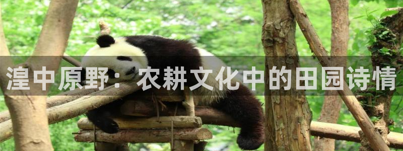 天辰娱乐官网平台下载