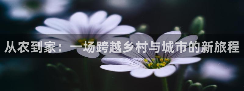 天辰娱乐国际