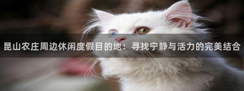 天辰娱乐官