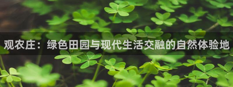 天辰娱乐好吗