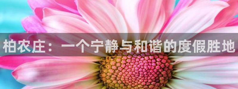 天辰娱乐传媒