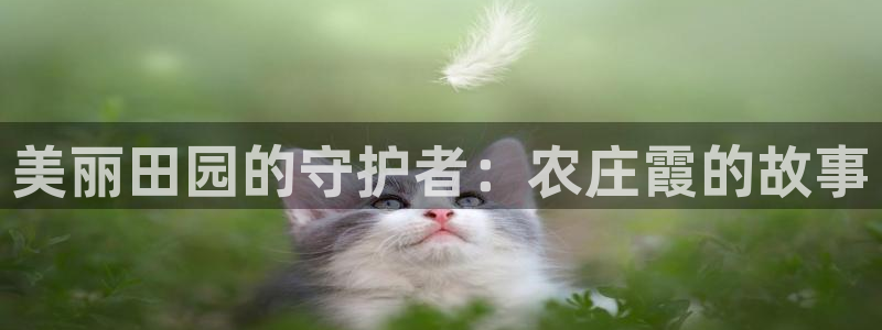 天辰娱乐61116