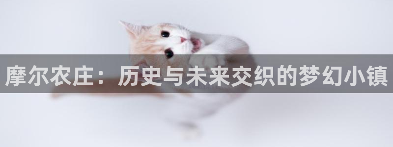 天富娱乐与天辰娱乐
