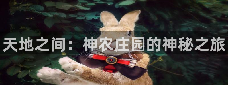 天辰娱乐app