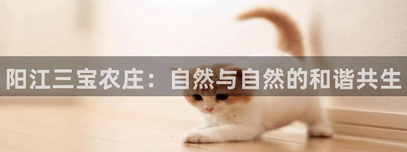 天辰娱乐指尖所