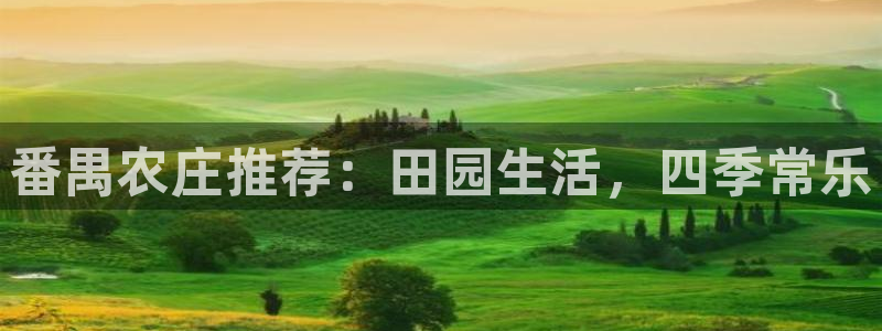 南充天辰娱乐