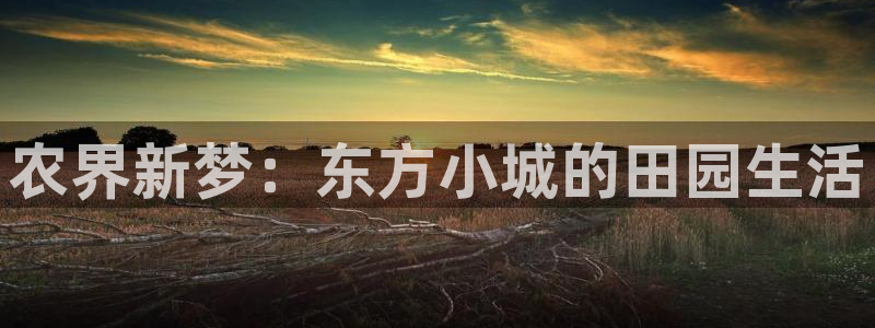 天辰娱乐平台